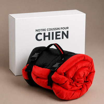 COUSSIN SOLO