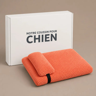 COUSSIN SOLO