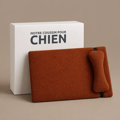 COUSSIN SOLO