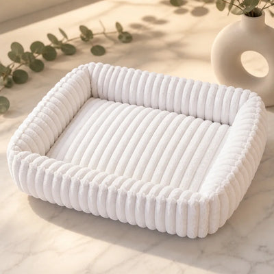 COUSSIN SOLO