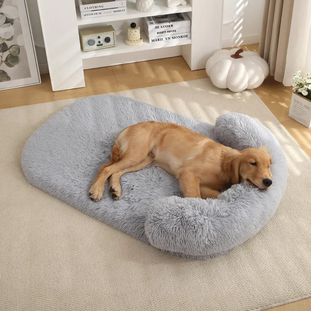 Lit Pour Petit Chien