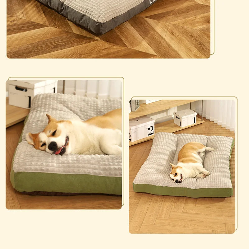 Coussin Pour Grand Chien