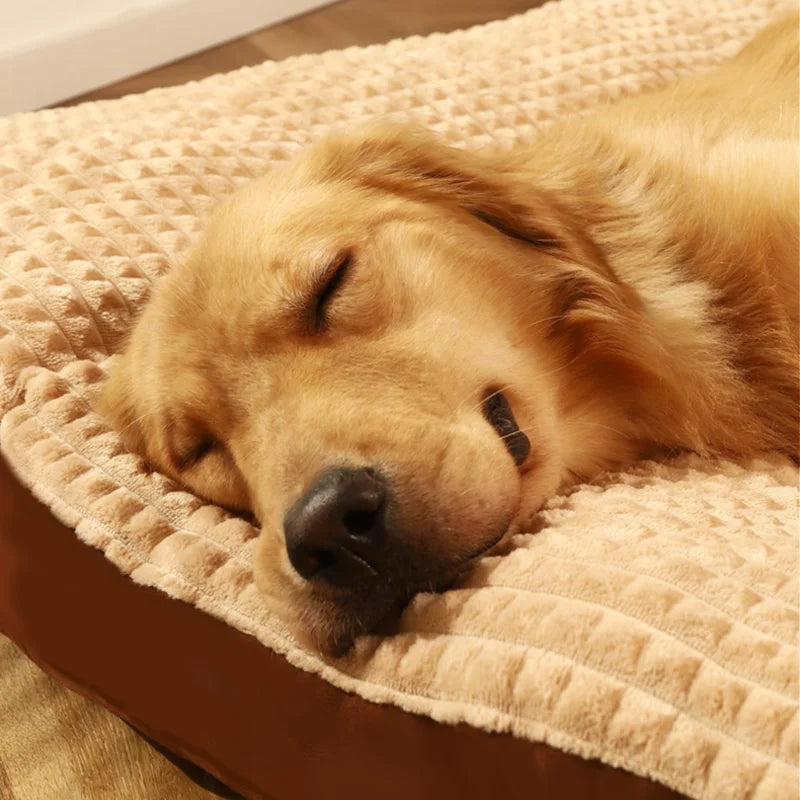 Coussin Pour Grand Chien