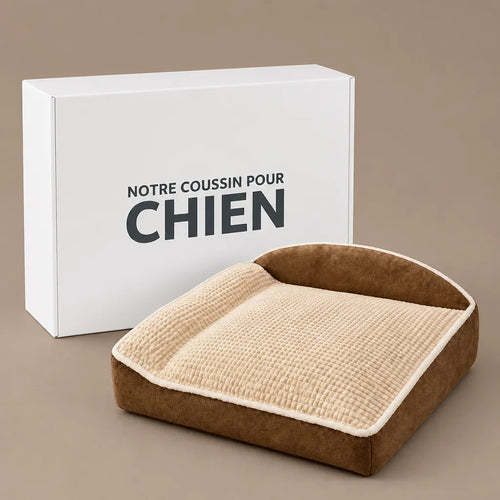 Acheter Coussin Pour Chien