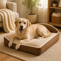 Acheter Coussin Pour Chien