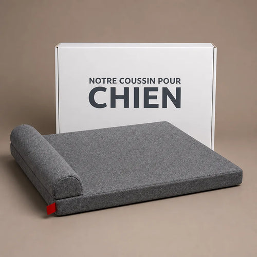 Coussin À Mémoire De Forme Pour Chien