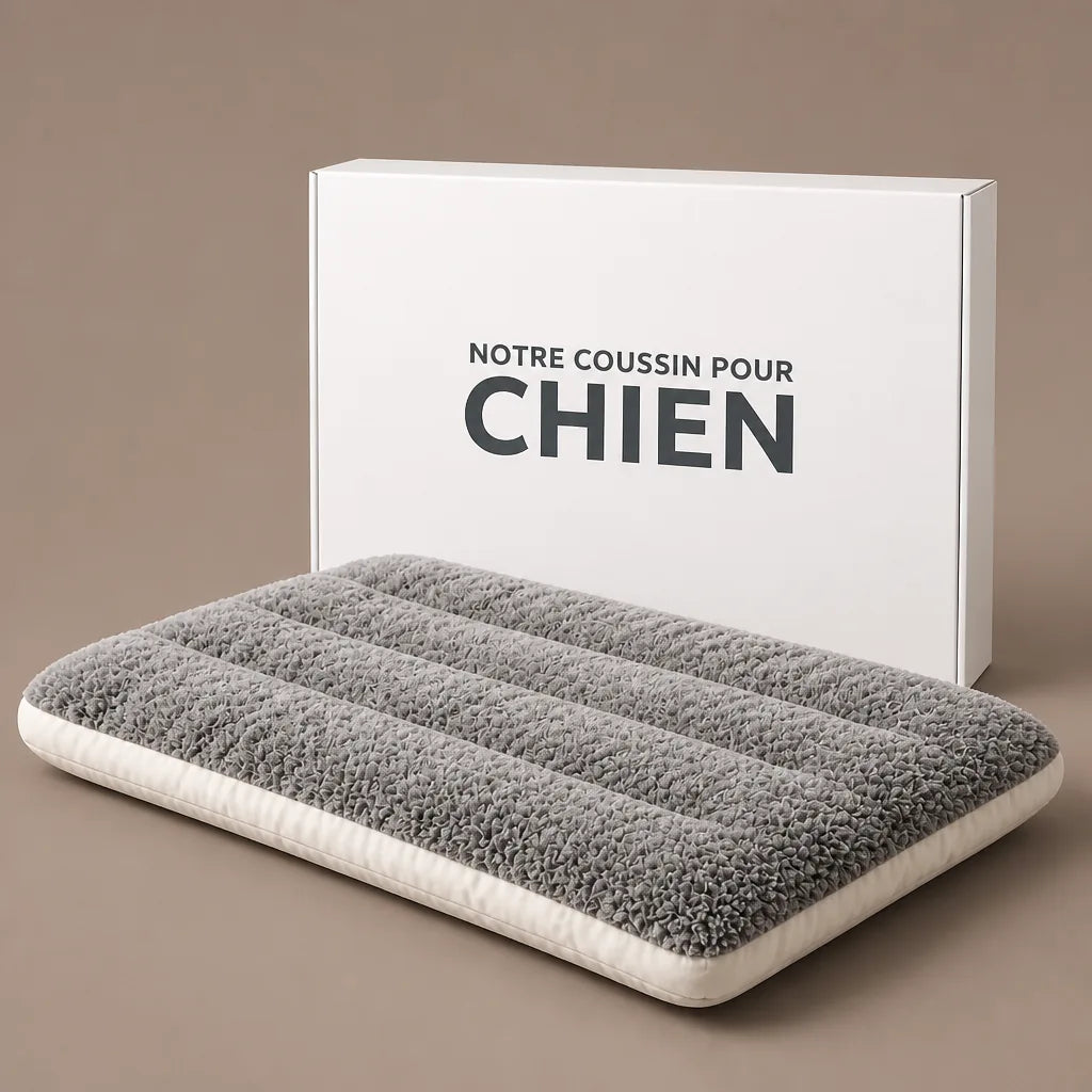Coussin Bio Pour Chien