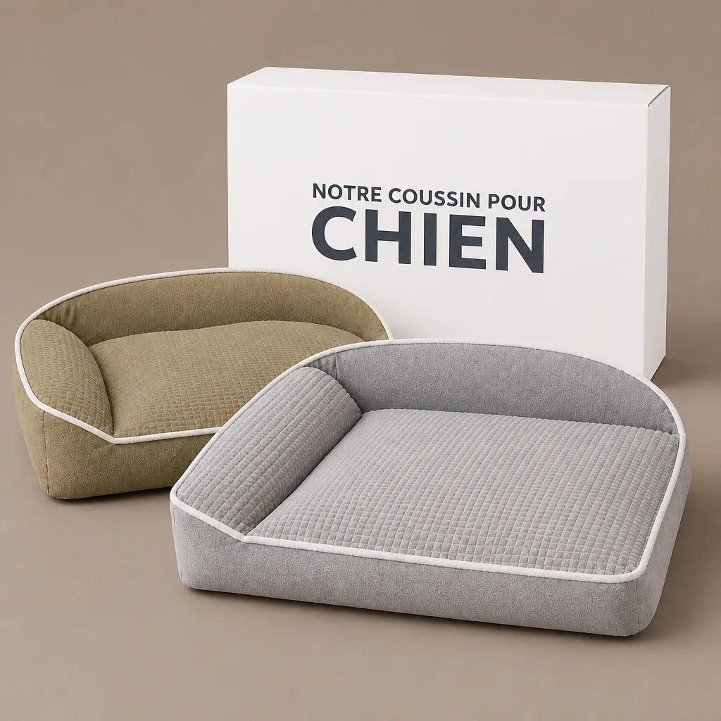 Coussin De Noel Pour Chien