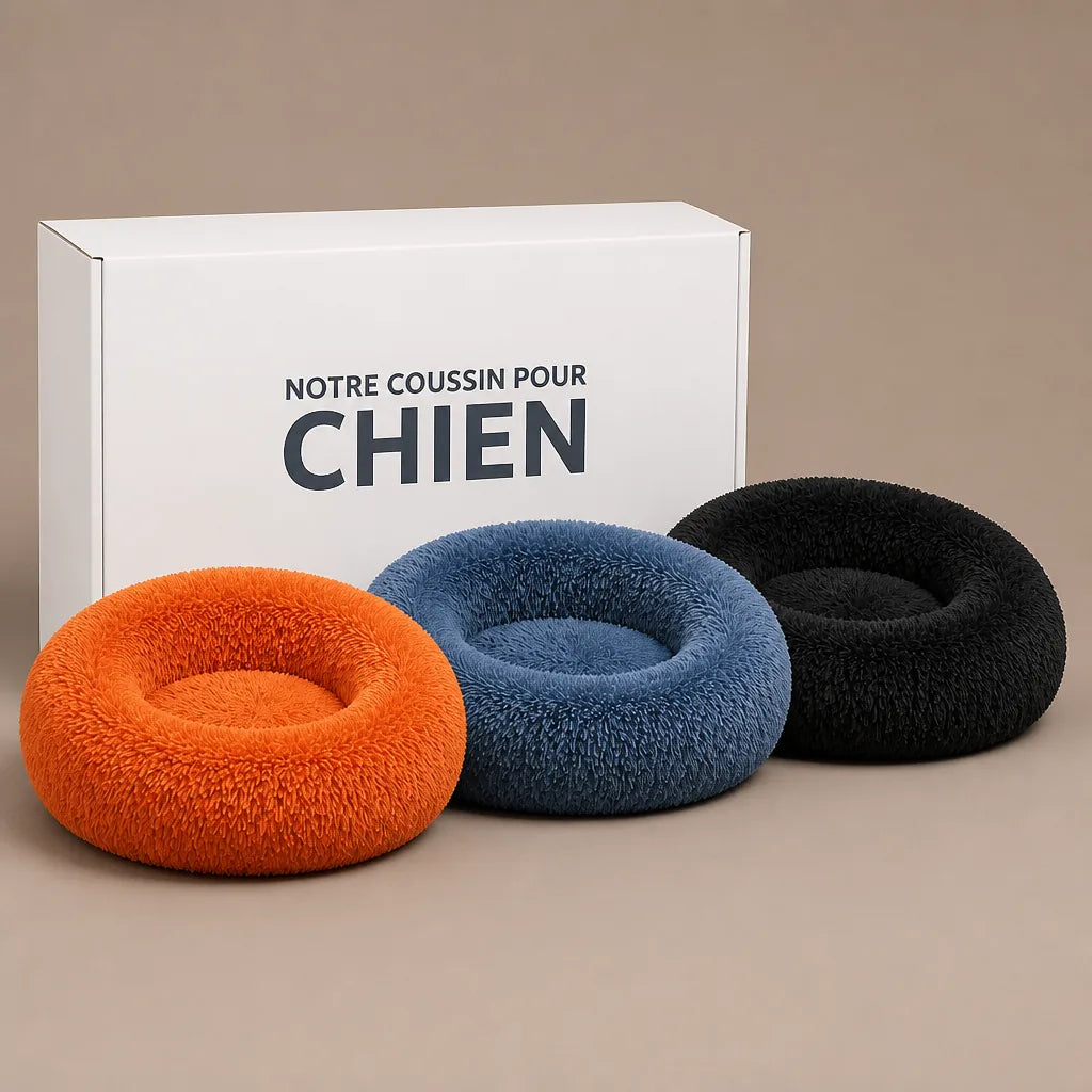 Coussin De Sol Pour Chien