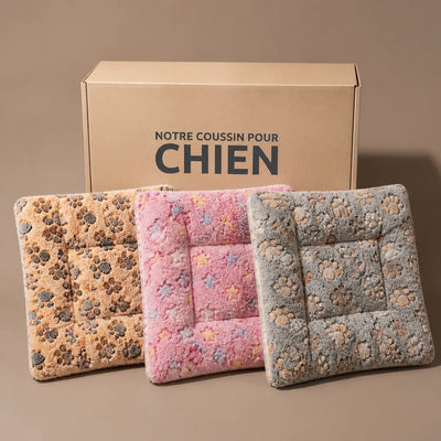 COUSSIN SOLO