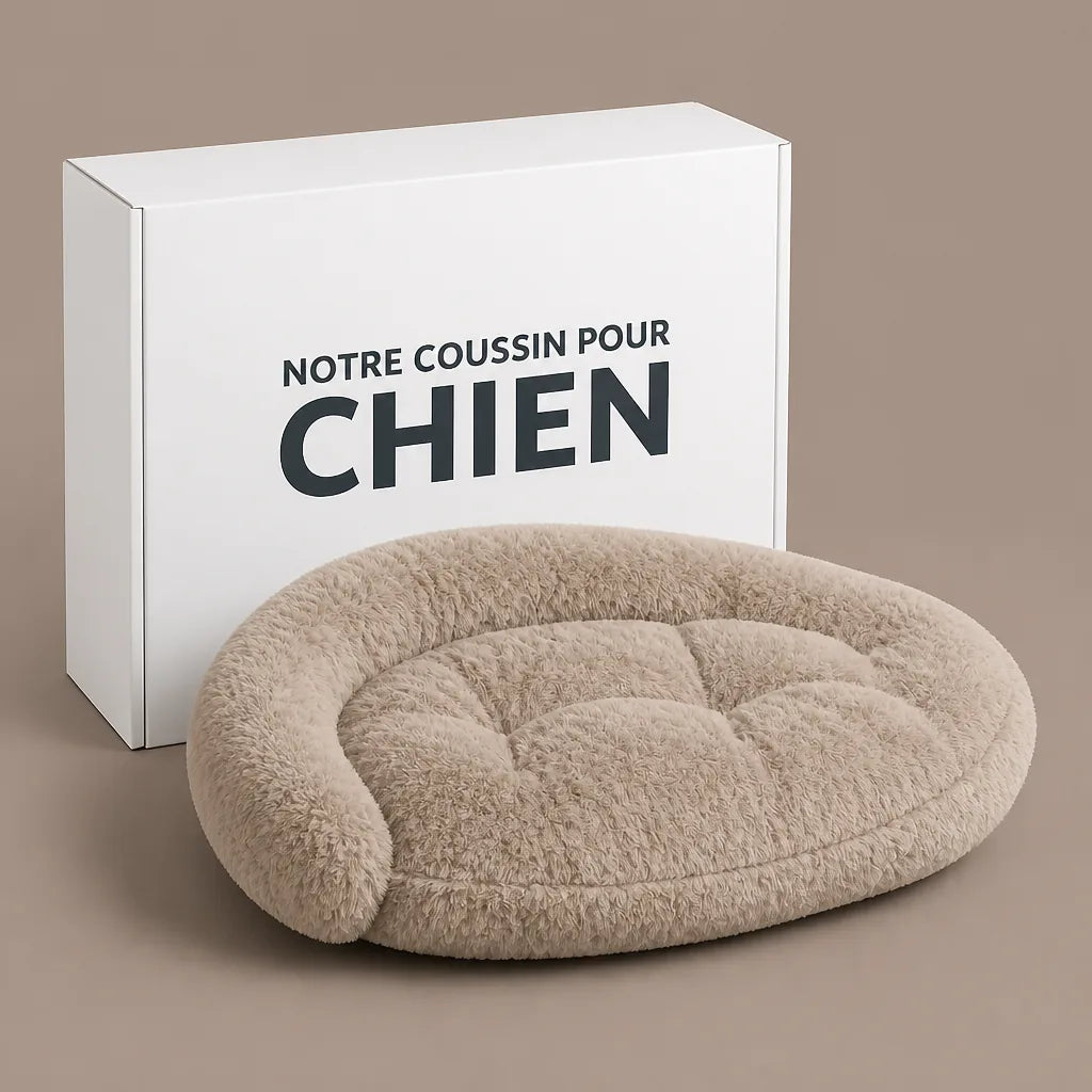 Coussin Ergonomique Pour Chien