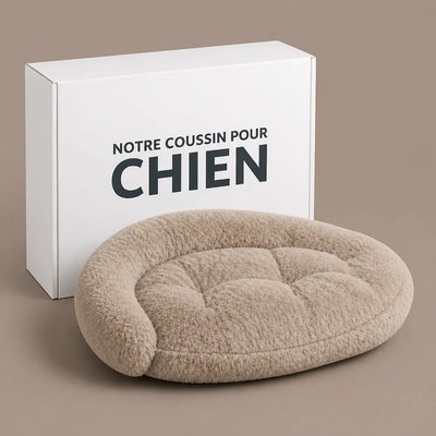 COUSSIN SOLO