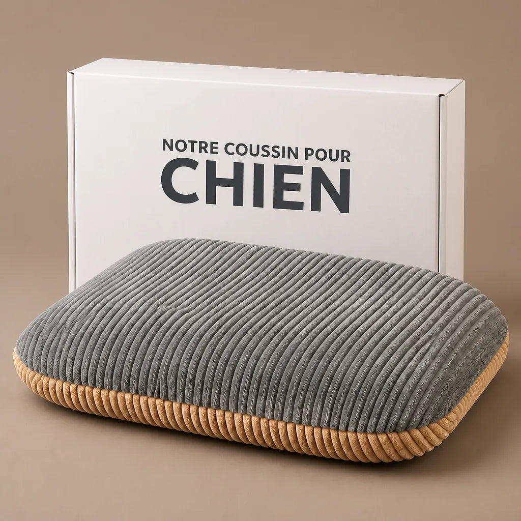 Coussin Galette Pour Chien
