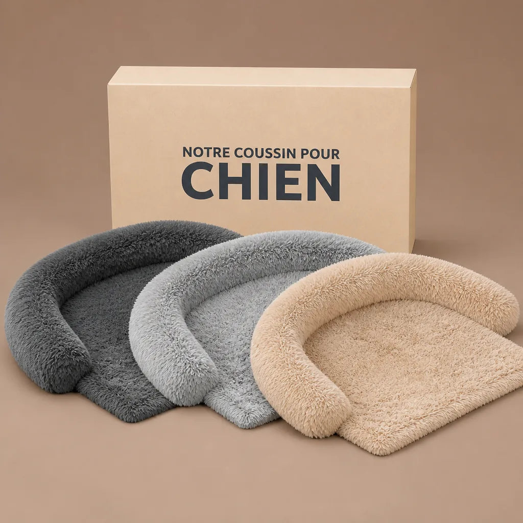 coussin-moelleux-pour-chien