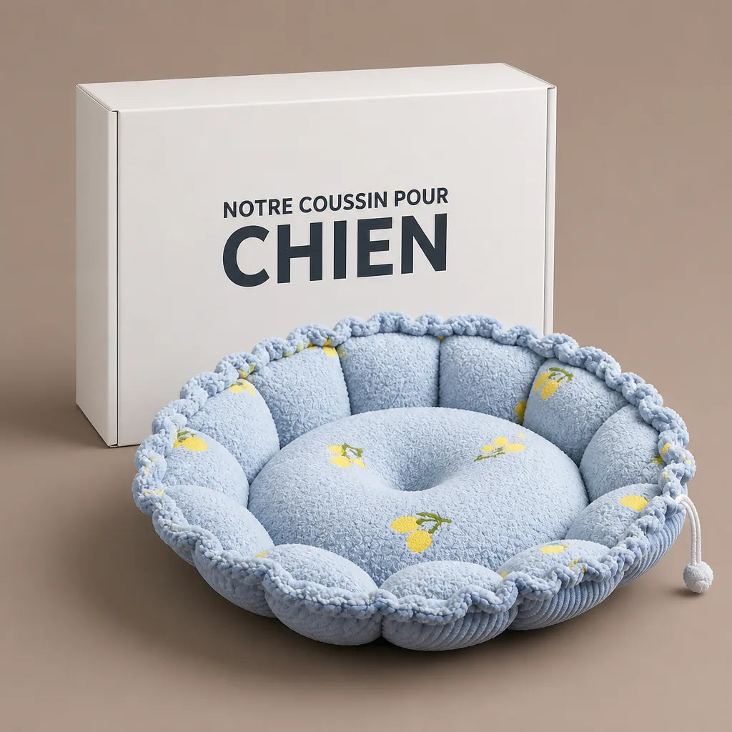 Coussin Nuage Pour Chien