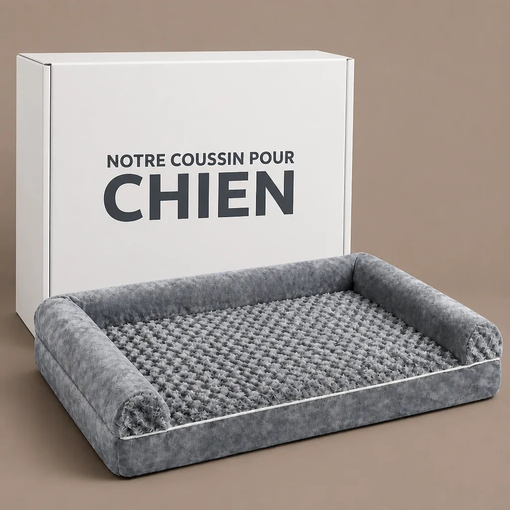 Coussin Orthopédique Pour Chien