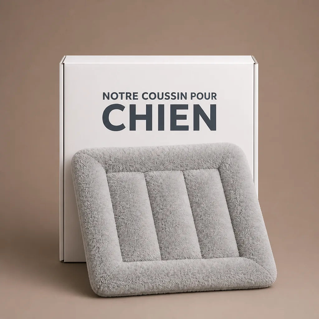 Coussin Pour Cage Chien