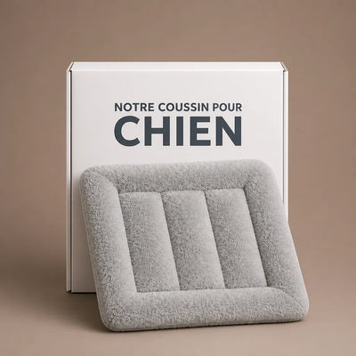 COUSSIN SOLO