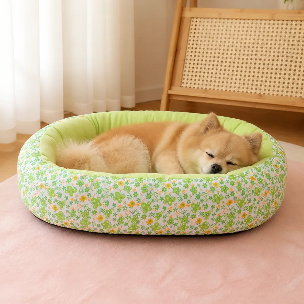 Coussin Pour Chien Bouledogue Francais
