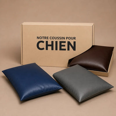COUSSIN SOLO