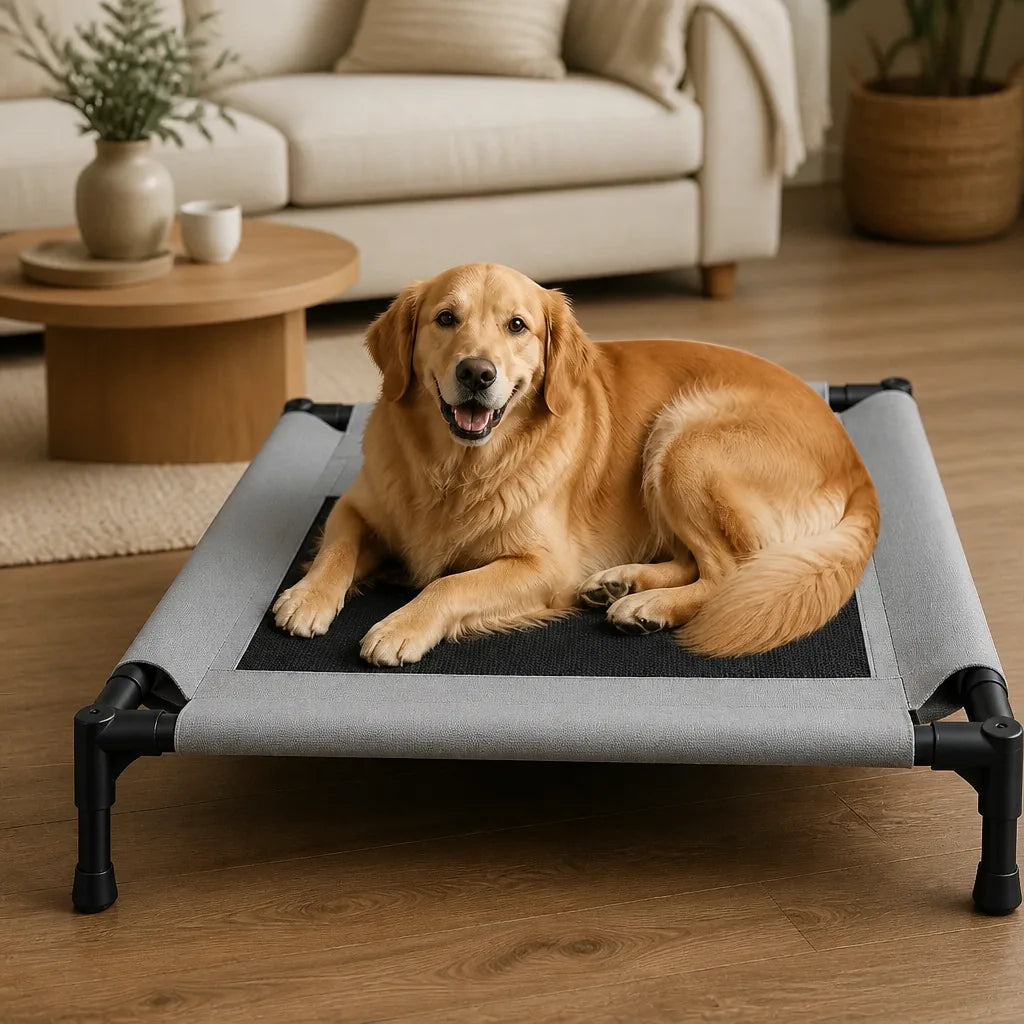Coussin Pour Chien Surélevé