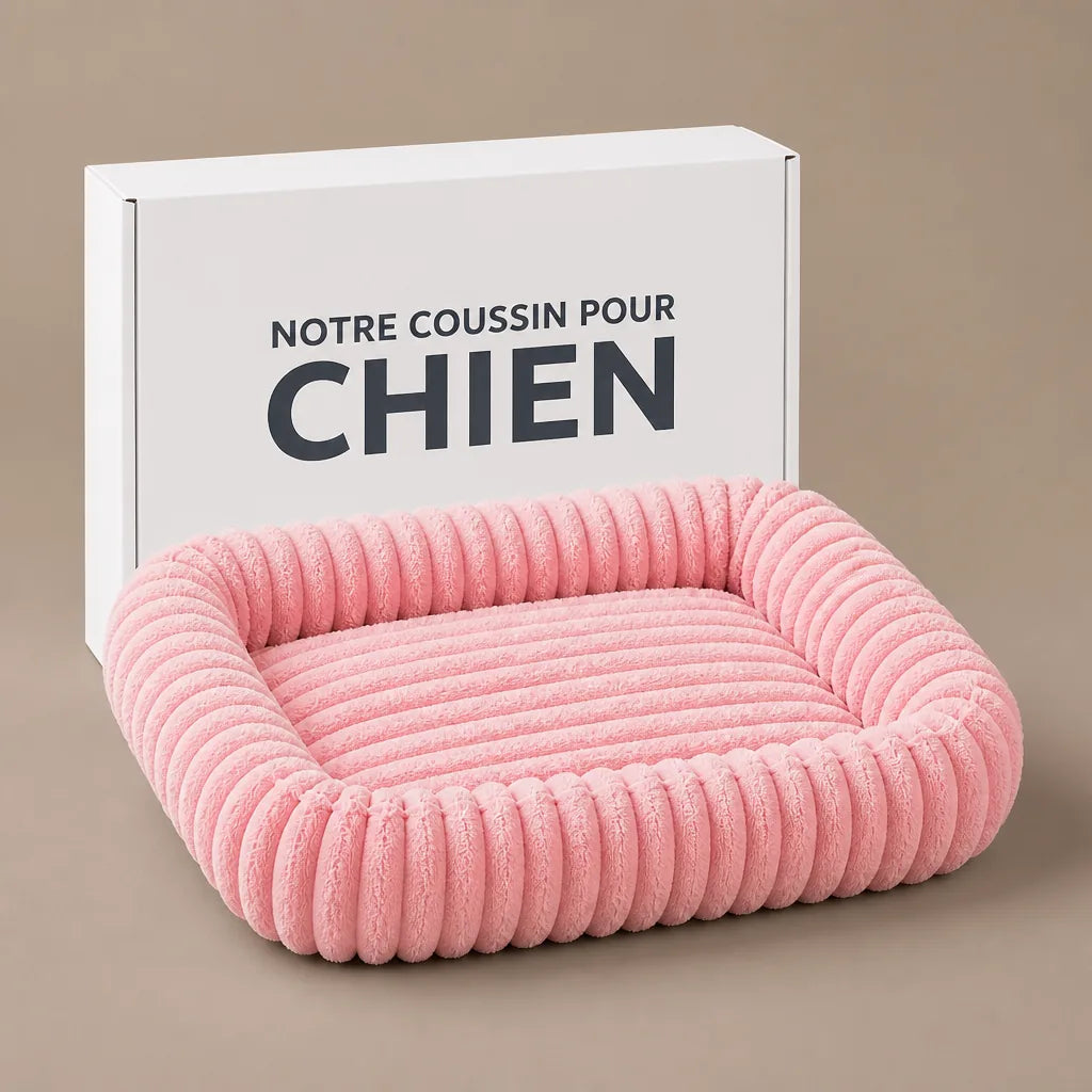 Coussin Pour Chien