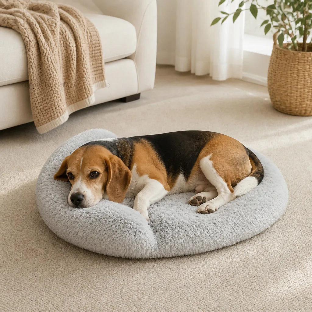 Coussin Pour Grand Chien 150 Cm