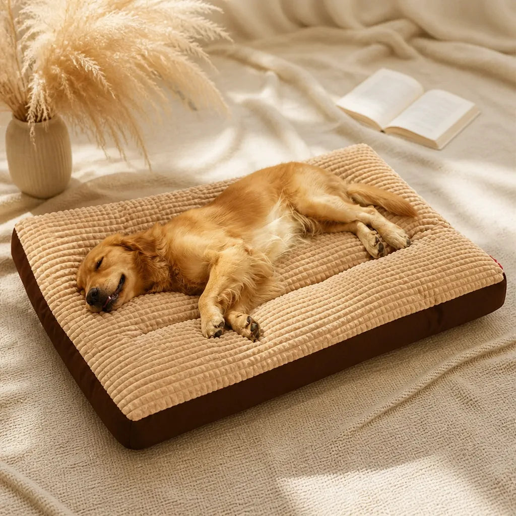 Coussin Pour Grand Chien