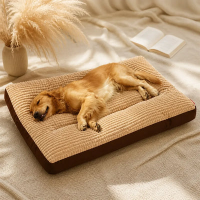 COUSSIN SOLO