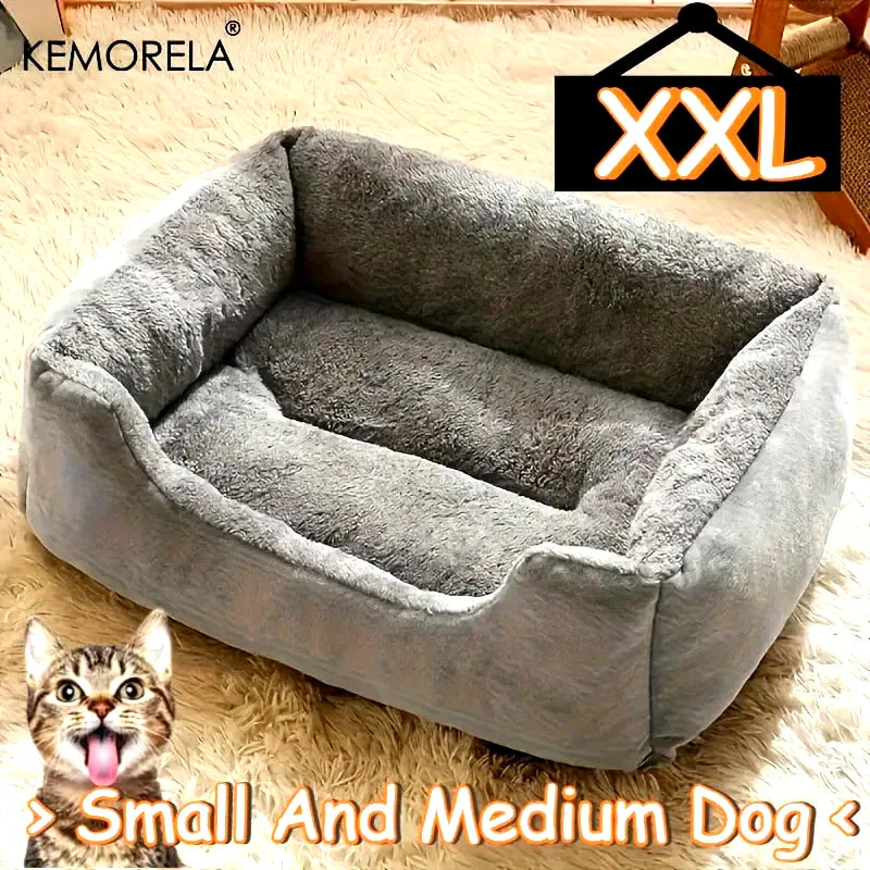 coussin-pour-petit-chien