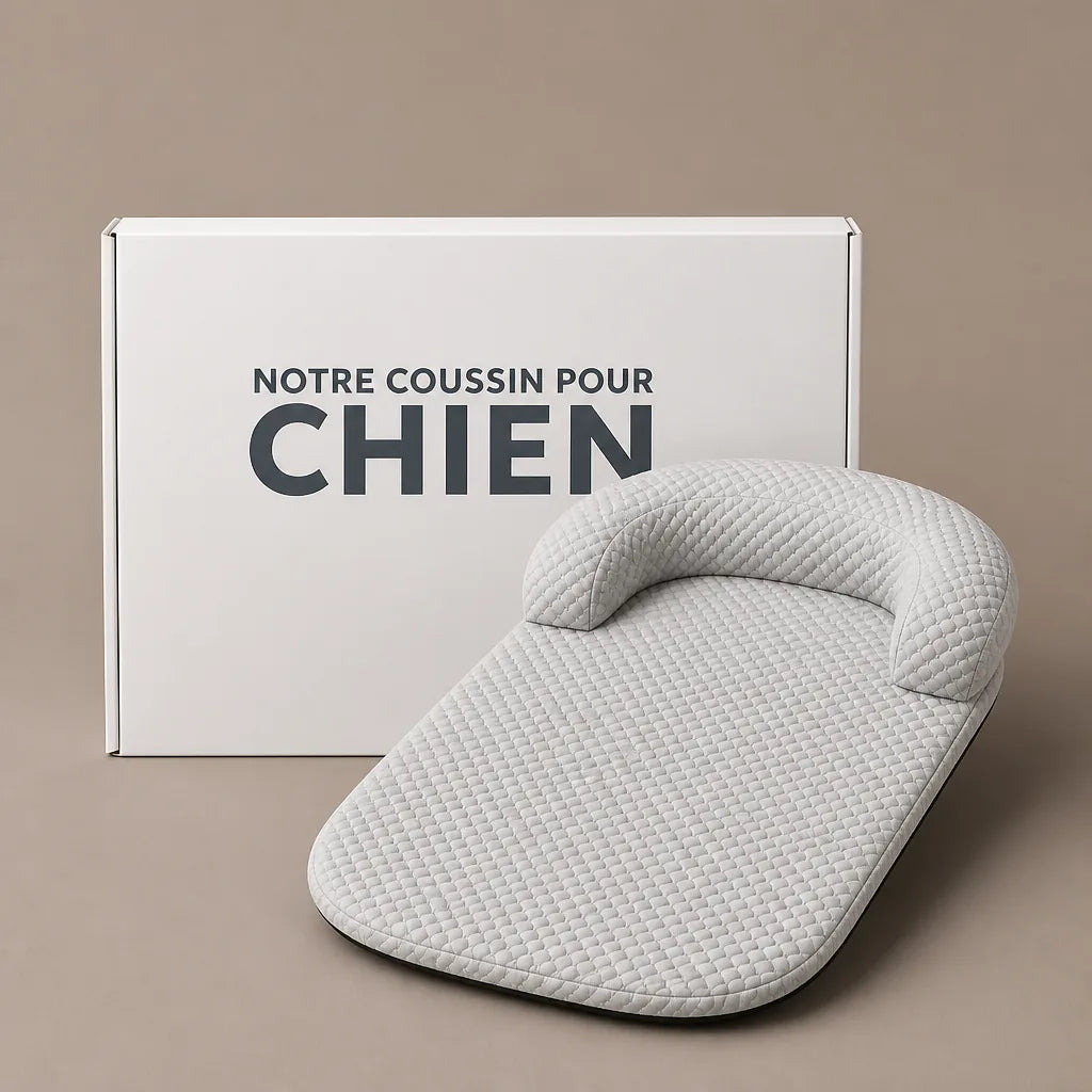Coussin Rafraîchissant Pour Chien