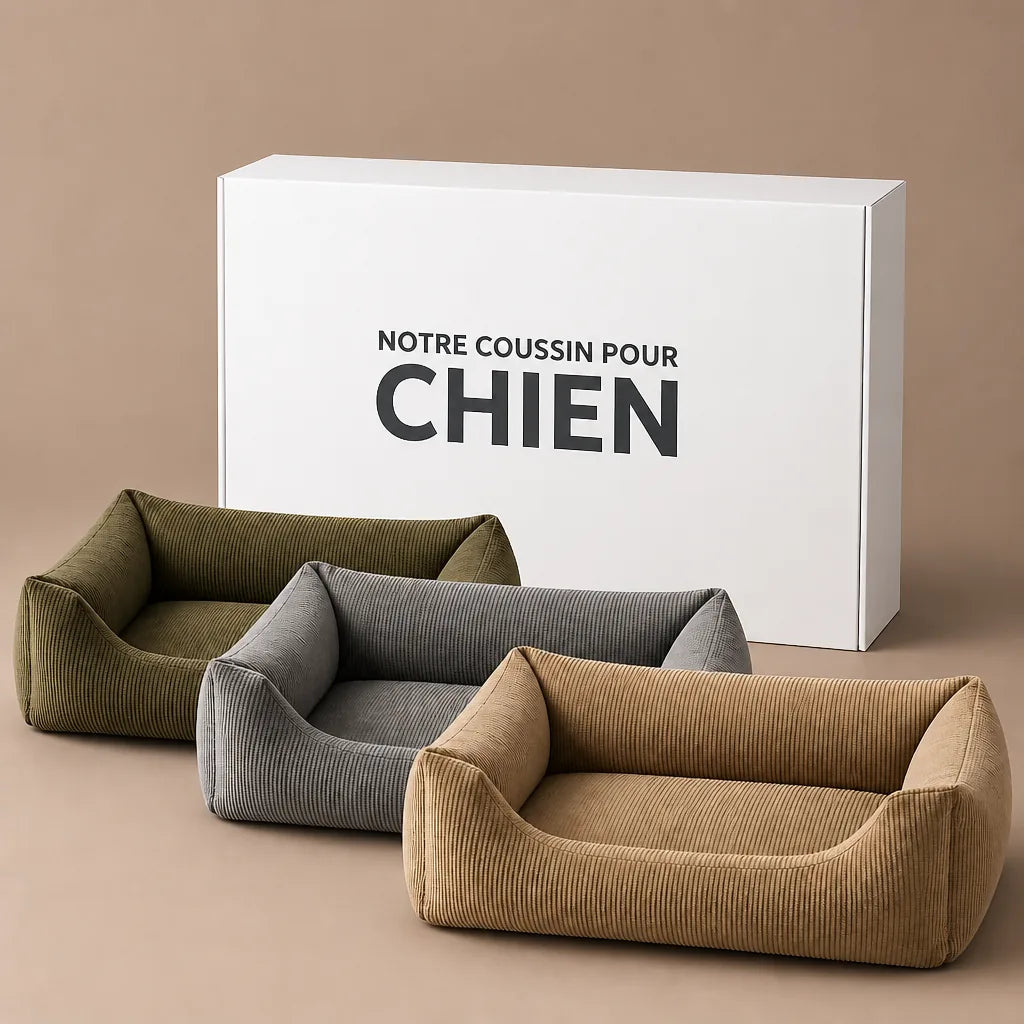 Housse De Coussin Pour Chien