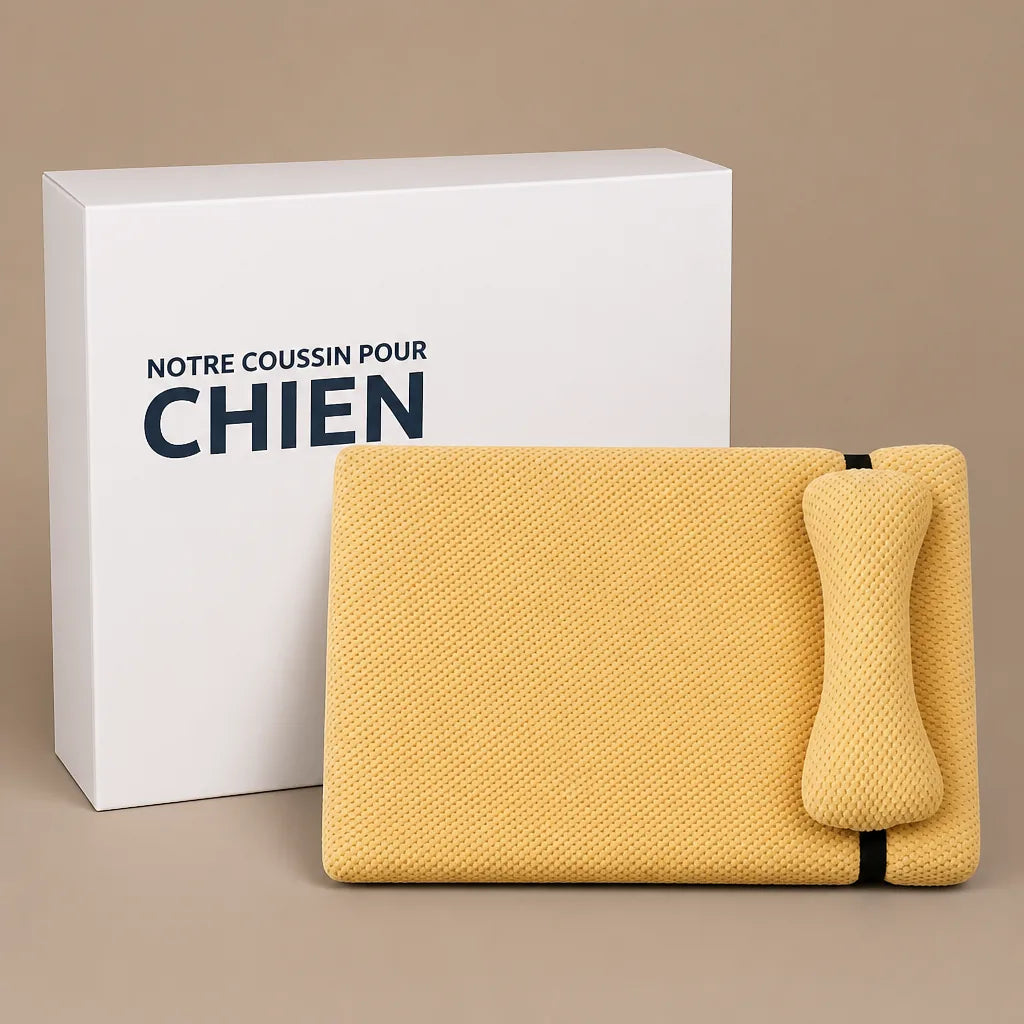 Lit Anti Stress Pour Chien