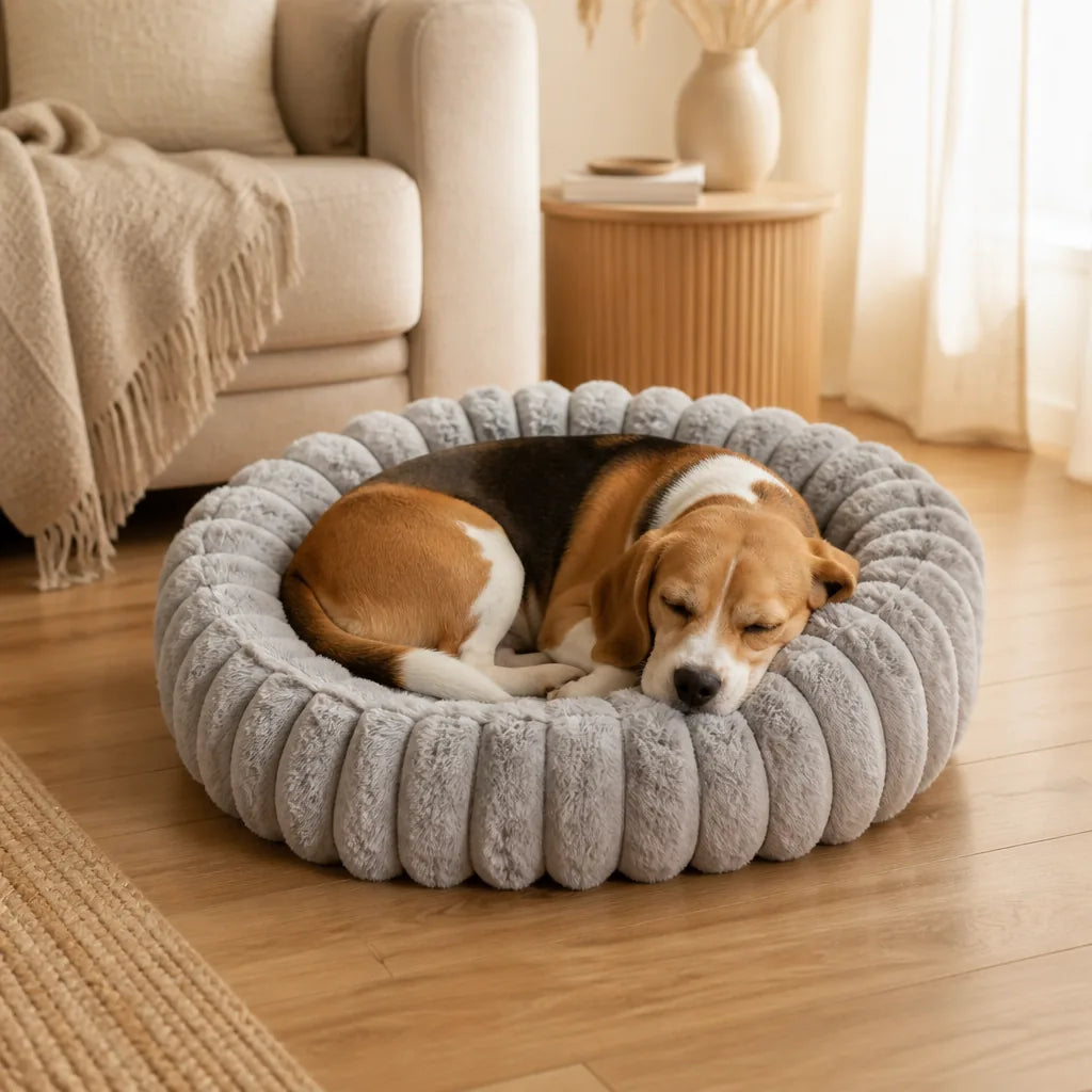 Lit Nuage Pour Chien