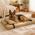Lit Pour 2 Chiens