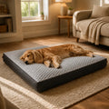Lit Pour Chien Déhoussable