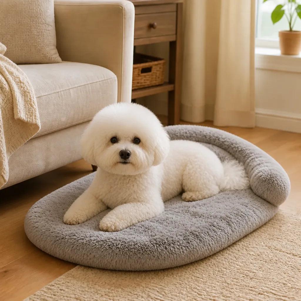 Lit Pour Chien Design