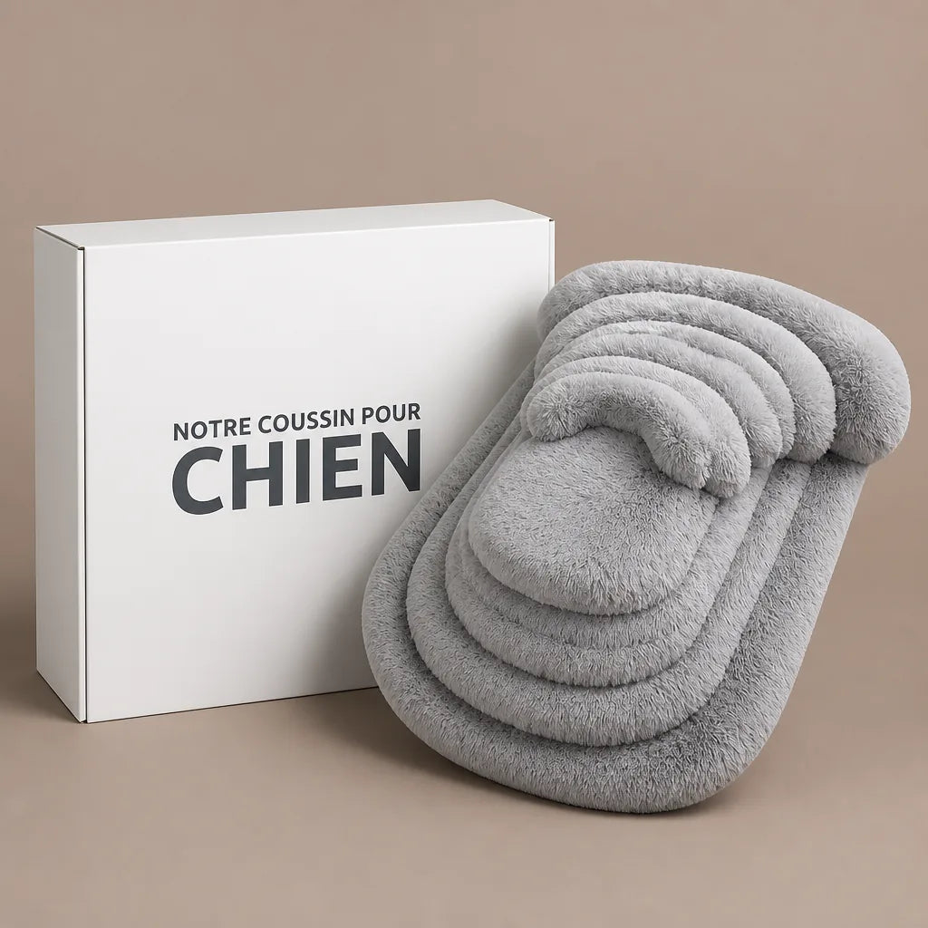 Lit Pour Chien Design
