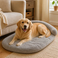 Lit Pour Chien Design