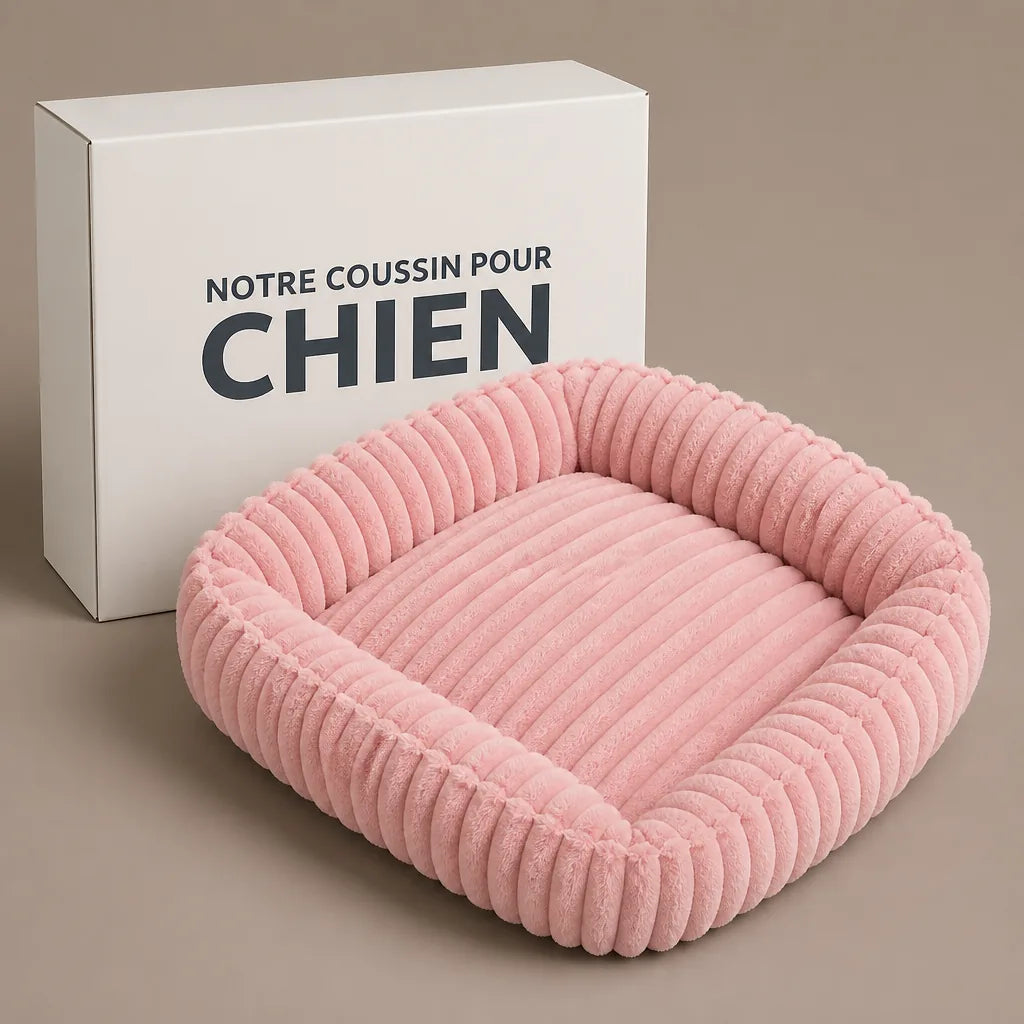 Lit Pour Chien Labrador