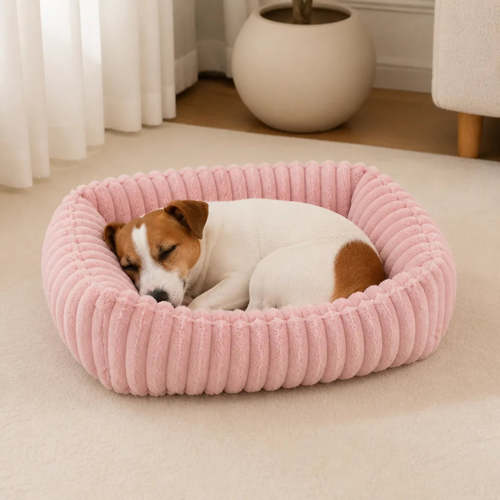 Lit Pour Chien Labrador