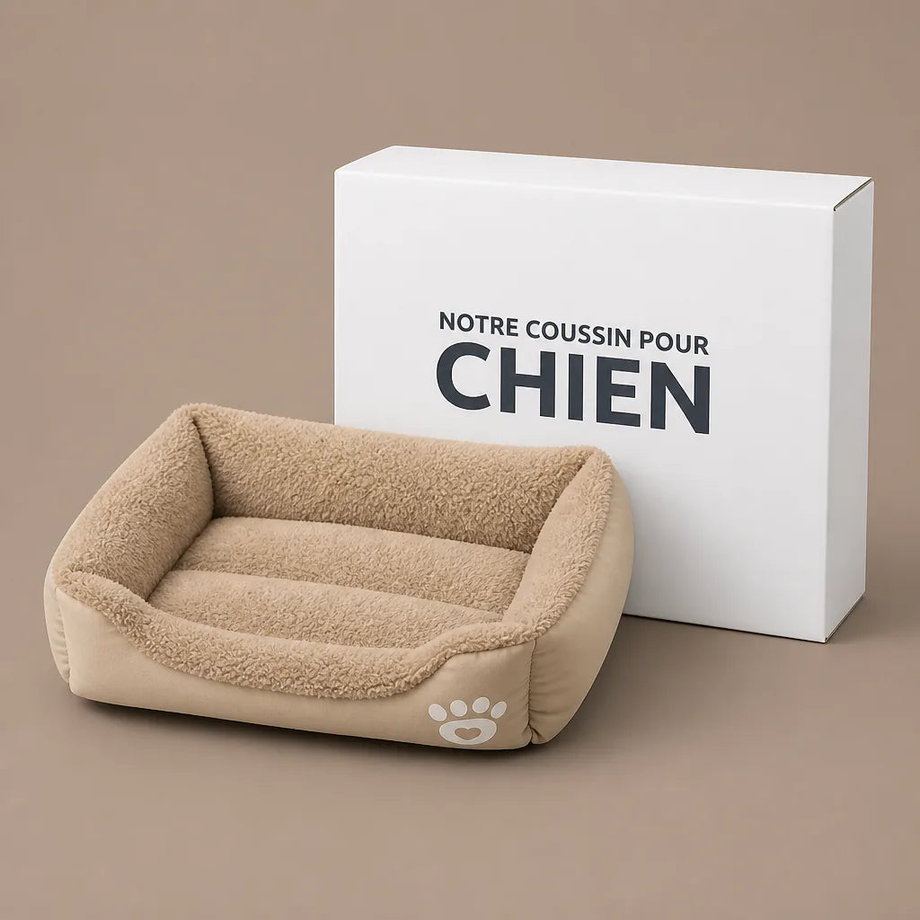 Lit Pour Chien Moyen