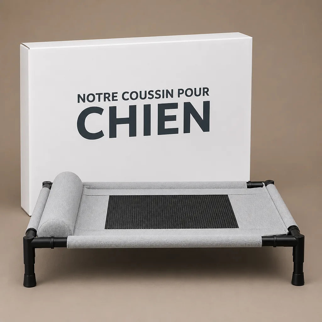 Lit Pour Chien Surélevé