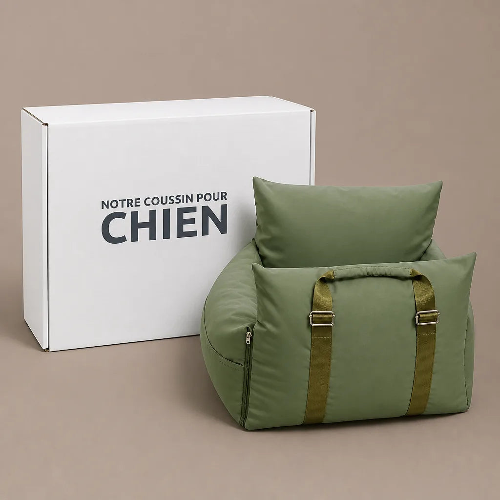 Lit Pour Chien Voiture