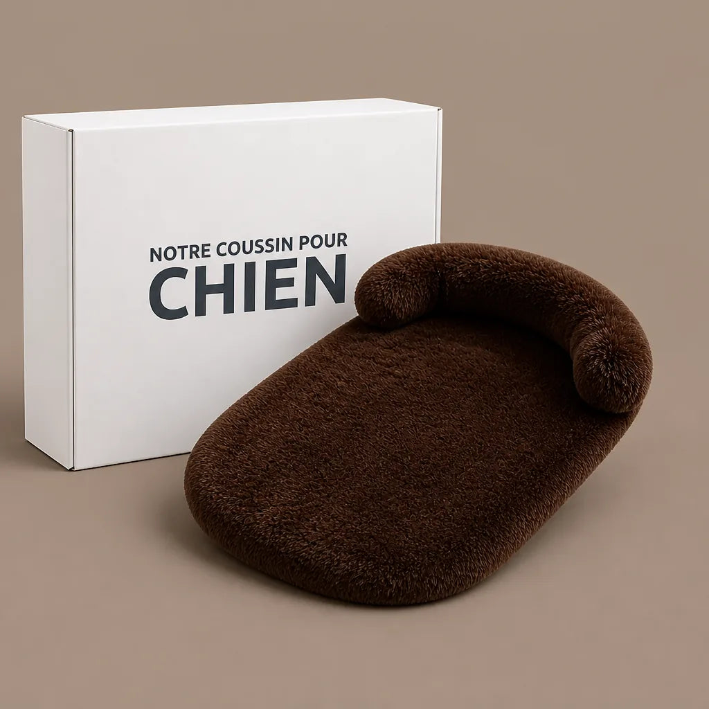 Lit Pour Vieux Chien