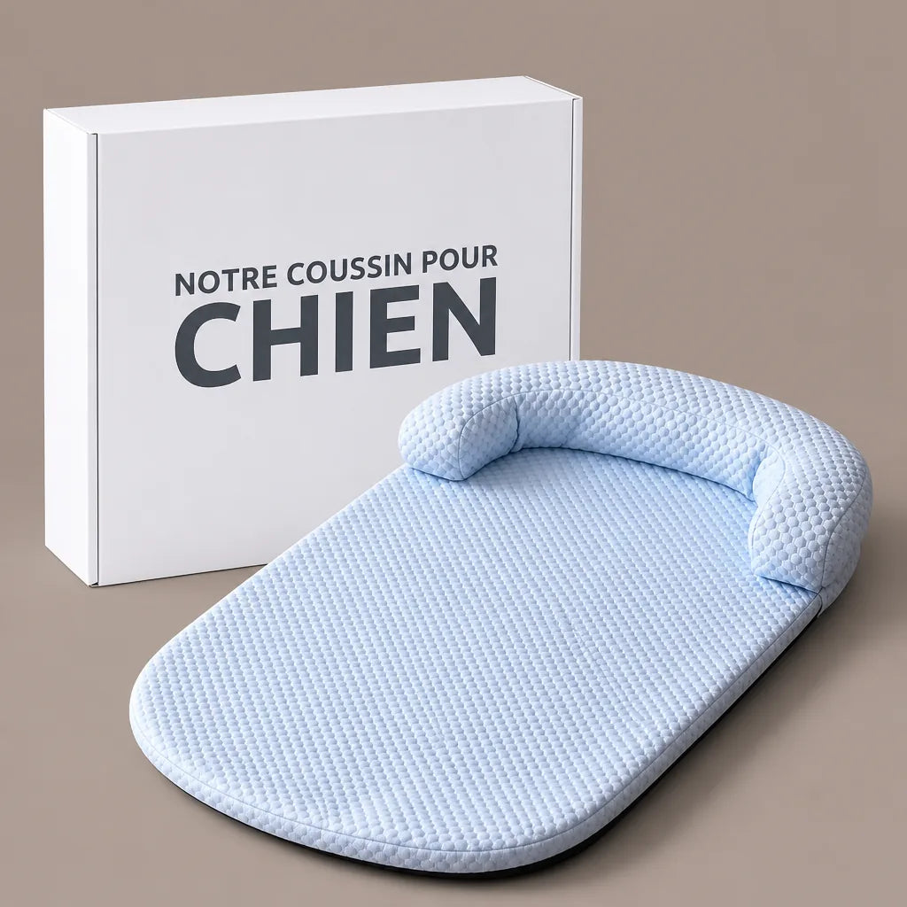 Lit Rafraichissant Pour Chien