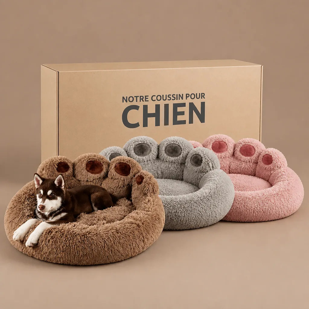 panier-coussin-pour-chien