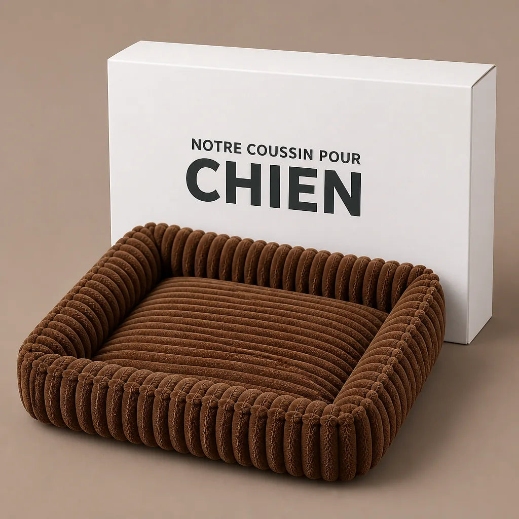 Panier Lit Pour Chien